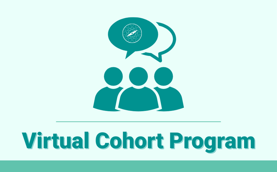 Convergence Compass – Virtual Cohort Program